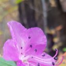 진주농장 이미지