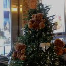 서초중앙로20길 33-12 | 고속터미널역 삼호가든사거리 맛집 더타코부스 반포점