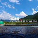 (주) 암새들 이미지