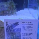 [아쿠아까페] 에스아쿠아 앤 카페 부천점 🐟 🐠 🐡