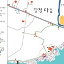 올레코사마트