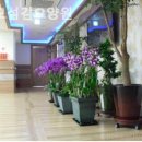 섬김요양원 이미지