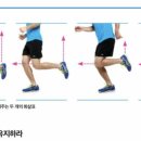 Must run 스피드 트레이닝 센터 | [강서구PT 마곡나루PT] Born To Run seminar 후기3 (차의과대학원장 홍정기교수 강의, XION 주관)