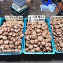 성덕상회 이미지