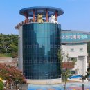 진도메디칼 이미지