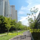 석전동124 이미지