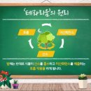 미니정원(테라리움) 이미지