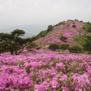 제암산2 - 1326 | 제암산2