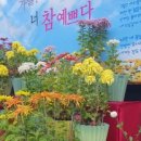 금천구 독산4동 주민센터 이미지