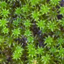 서리축산 이미지