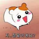 석세스짐 망포역점 이미지