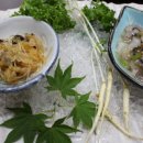 하루일식 이미지