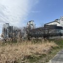 홈플러스옆길 이미지