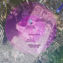 태권도 법원체육관 이미지