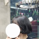 광주 상무지구 쌍촌동 펌 맛집 탑헤어