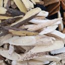 본라인한의원 이미지