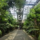 카페새마을 | [내돈내산] 청도 맛집 새마을 밀면, 카페 버던트 방문 후기
