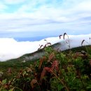 노고단-8 이미지