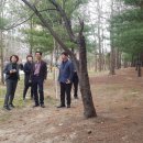 산마루어린이공원 이미지
