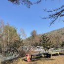 오프리쉬