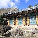 용문사 토불 Daum카페
