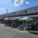 수네집가보자 | [가봤습니다]남당항 대하축제, 사람이 너무 많아서 대체 식당은?(내돈내산 찐후기)