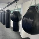 복싱트라이브 이미지