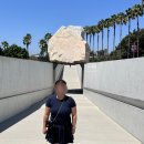 비에이치씨(BHC)치킨 한화에코점 | 미술관 LACMA(Los Angeles County Museum of Art) 입장료, Urban Light 추천 포토스팟, 모네 수련, BHC치킨