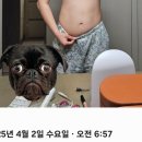 자연한의원 | 지방사약 1달 복용 내돈내산 후기!! 자연과 한의원 신촌점