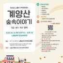 노틀담 이미지