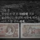 수정씨푸드 이미지