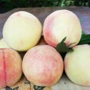 한태농장 이미지