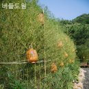 버들도원 이미지