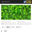 원단스토리 네이버블로그