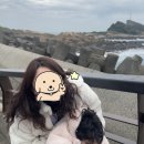 서현역 놀거리 방탈출 실내데이트로 추천하는 추리 게임 크라임씬카페 퍼즐팩토리 분당점 대만족 후기