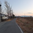 원정농산
