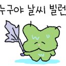 (주)라그랑주