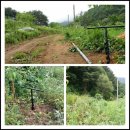 심심산골 이미지