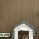 김밥천국운천점 | 아직은 추운 봄 🌸