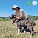 성희목장 이미지