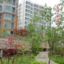 백현마을9단지 이미지