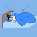 모기아트 이미지