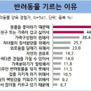 또하나의 가족 이미지