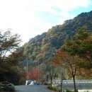 가을여행지추천-가을여행 갈만한 곳-한국관광 공사 추천 이미지