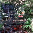 숲쟁이협동조합 | 완주 여행지 추천 고두심이좋아서 완주상관편백나무숲 공기마을 편백나무숲 둘레길/유황족욕탕/입장료...