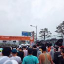 완주 | 공주마라톤 32km 완주후기 ft. 폭우런