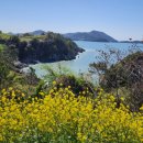 하화도 꽃섬길 민박 이미지