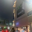 뮤지컬로 보는 동화 2회차 | 위키드(wicked) 뮤지컬 내한 공연 R석 1층 25열 시야 관람후기