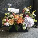 더 올림(The Ollim) 이미지