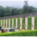 새나리로 이미지